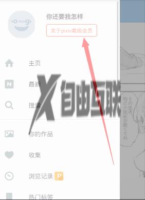 pixiv注册高级会员方法