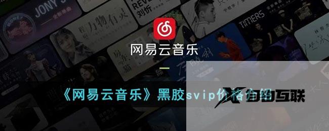 网易云音乐黑胶svip价格介绍