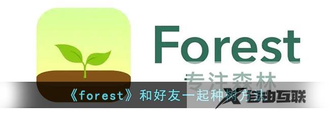 forest和好友一起种树方法