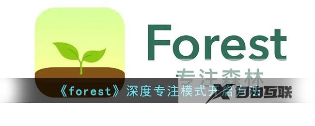 forest深度专注模式开启方法