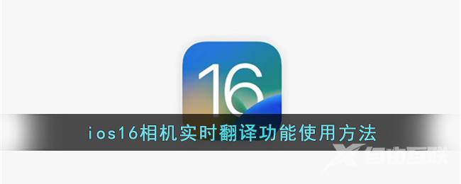 ios16相机实时翻译功能使用方法